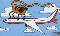 Boomerang